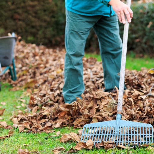 parkanlagen-pflege-reinigung